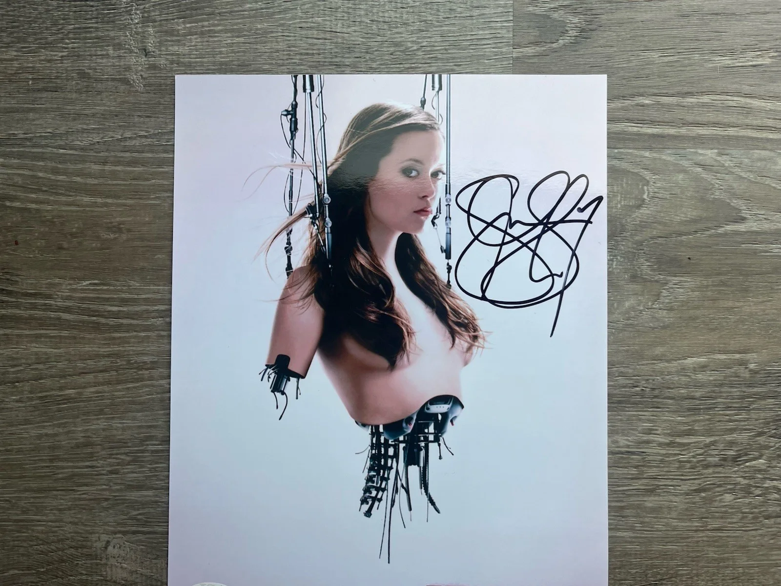 Summer Glau — Summer Glau Signed Terminator 8x10 Photo JSA COA Sarah Connor Chronicles, image 3