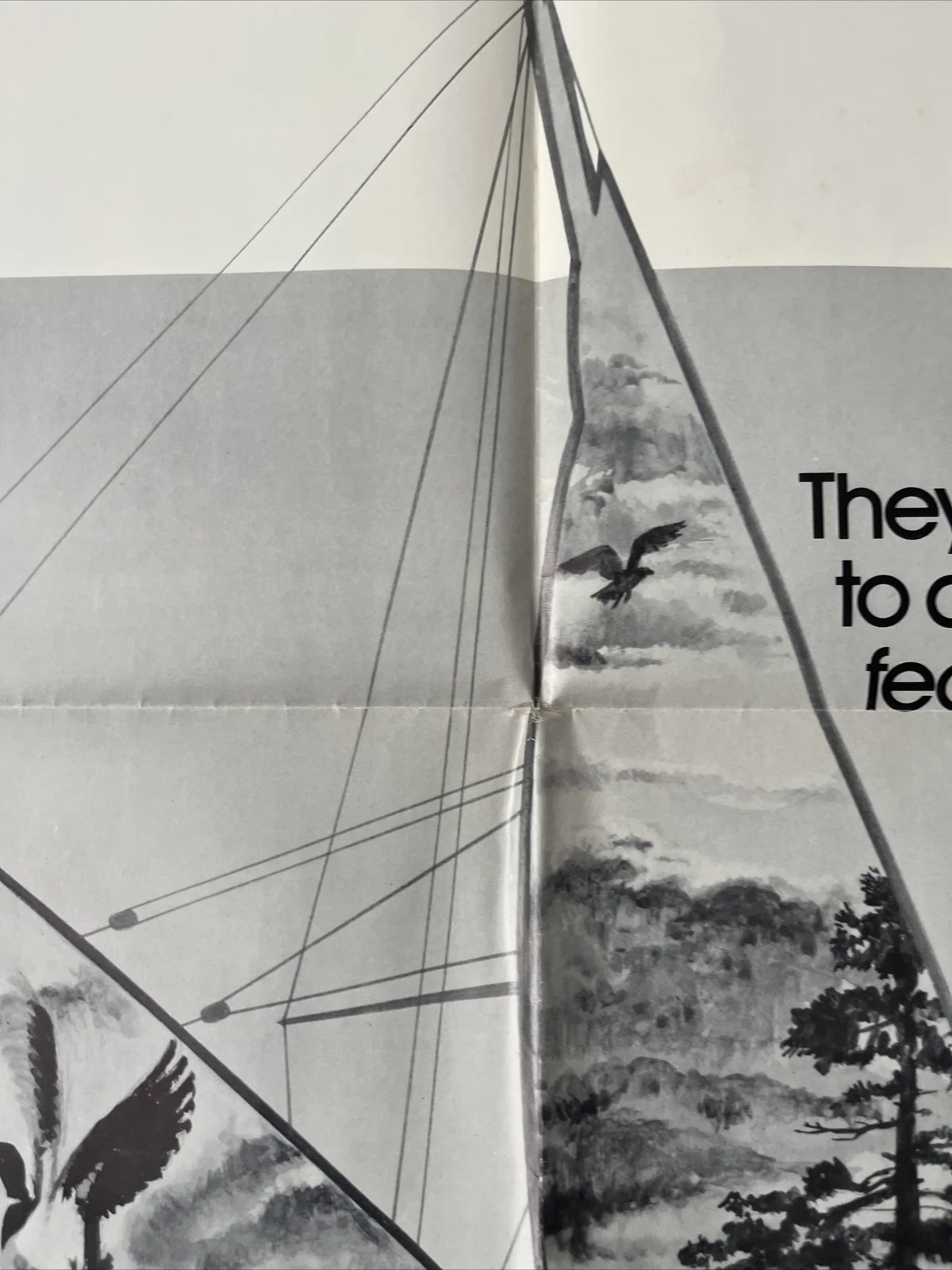 The Sea Gypsies (1978) Original US One Sheet Movie Poster, изображение 5