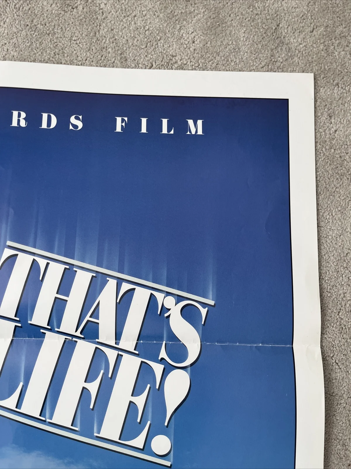 That's Life (1986) Original US One Sheet Movie Poster, image 4