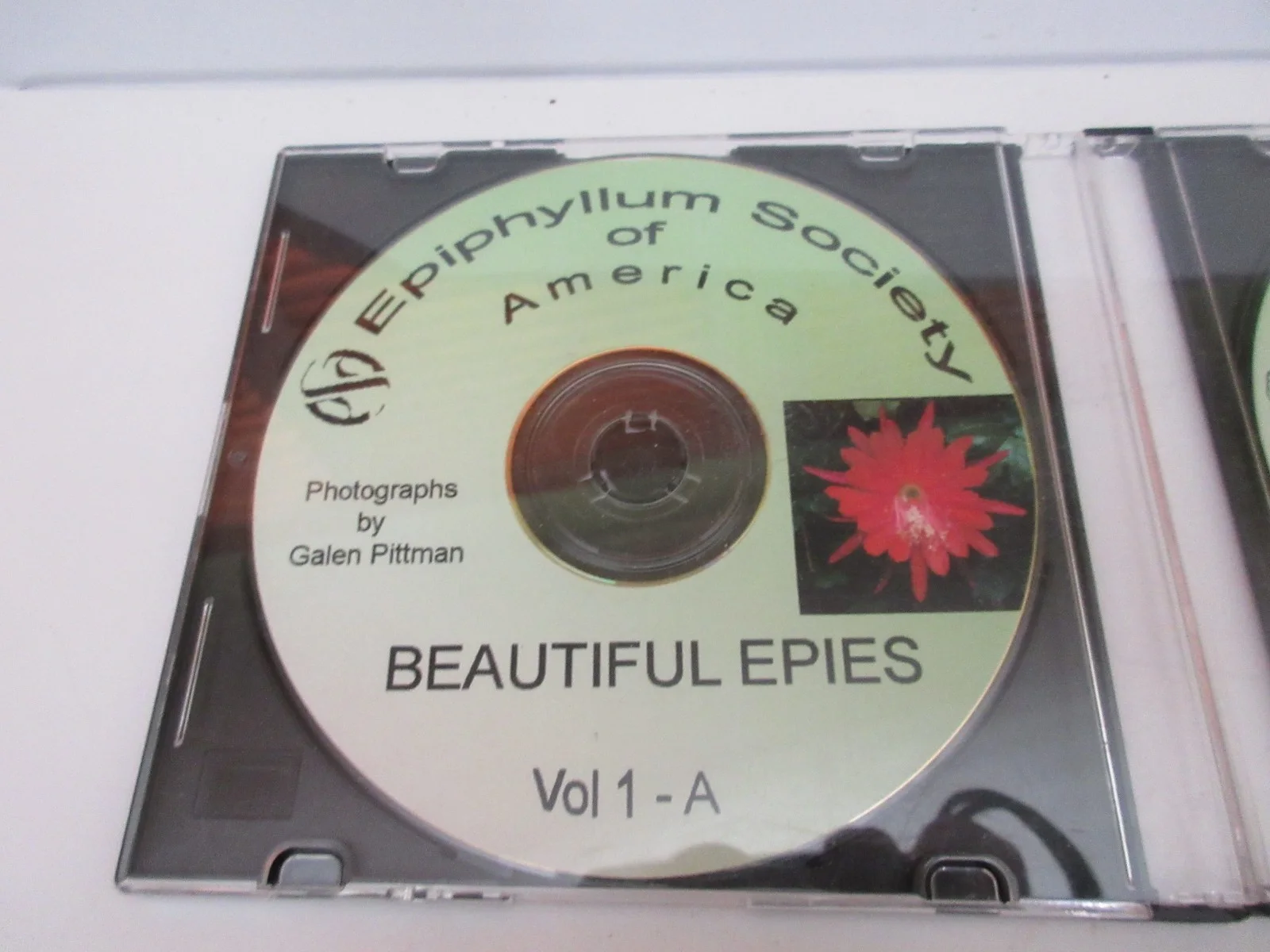 Epiphyllum Society of America CD flower photos by Galen Pittman Vol-A & B, изображение 3