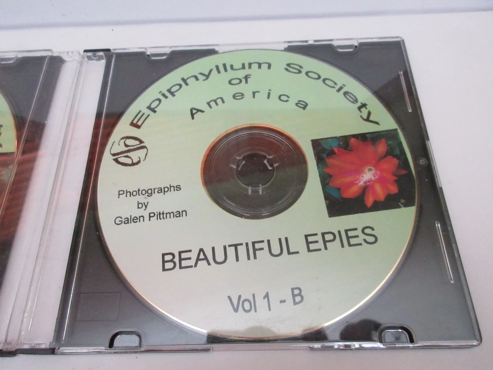 Epiphyllum Society of America CD flower photos by Galen Pittman Vol-A & B, изображение 4