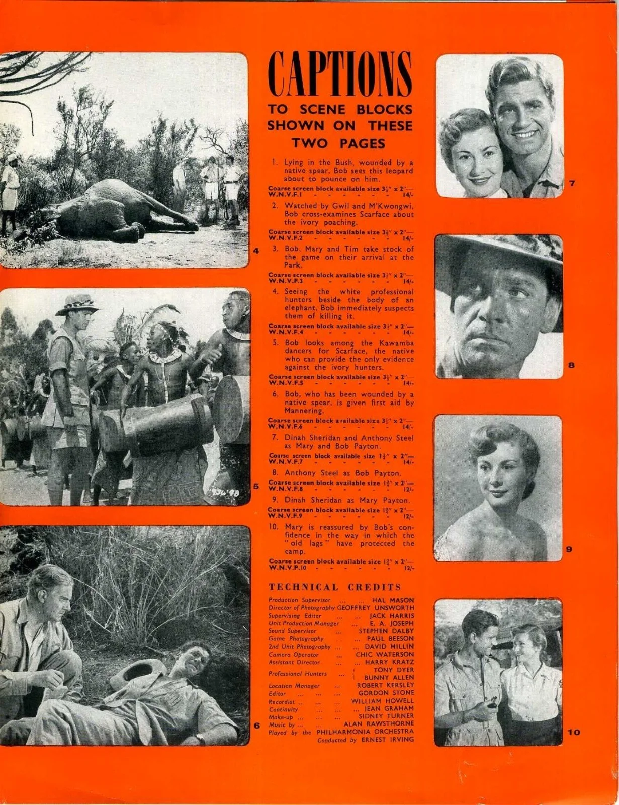 WHERE NO VULTURES FLY 1951 Anthony Steel, Dinah Sheridan UK PRESSBOOK, image 3