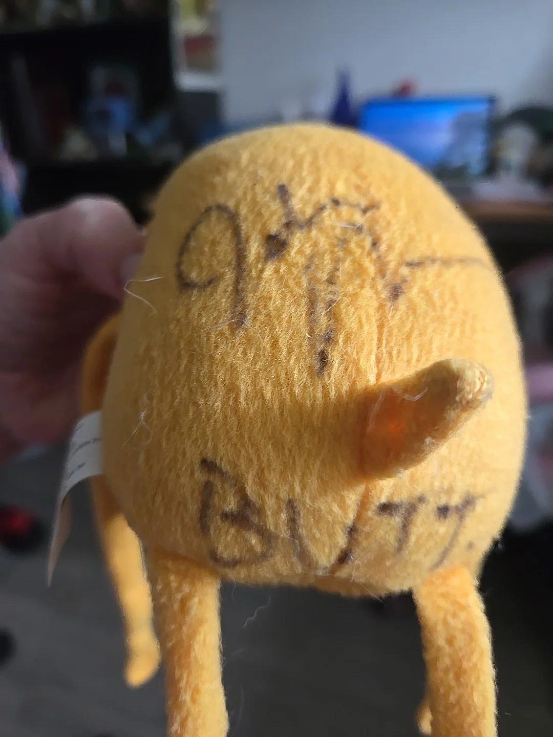 Cartoon Network Jake Signed Butt, image 4