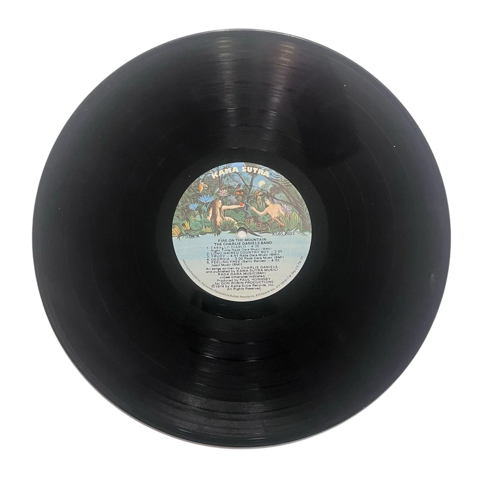 Charlie Daniels Signed Autographed Fir On The Mountain Vinyl Record, image 4