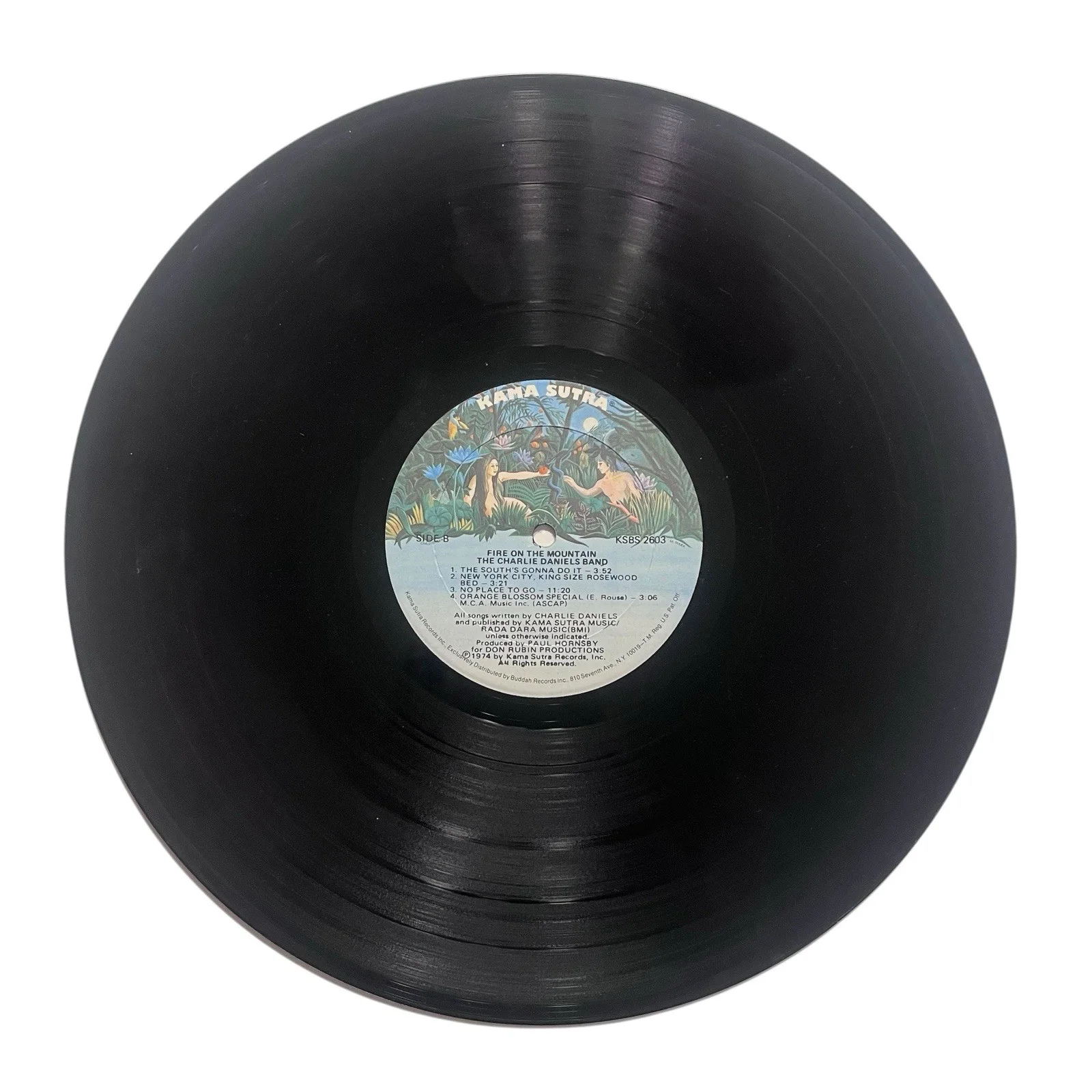 Charlie Daniels Signed Autographed Fir On The Mountain Vinyl Record, image 5