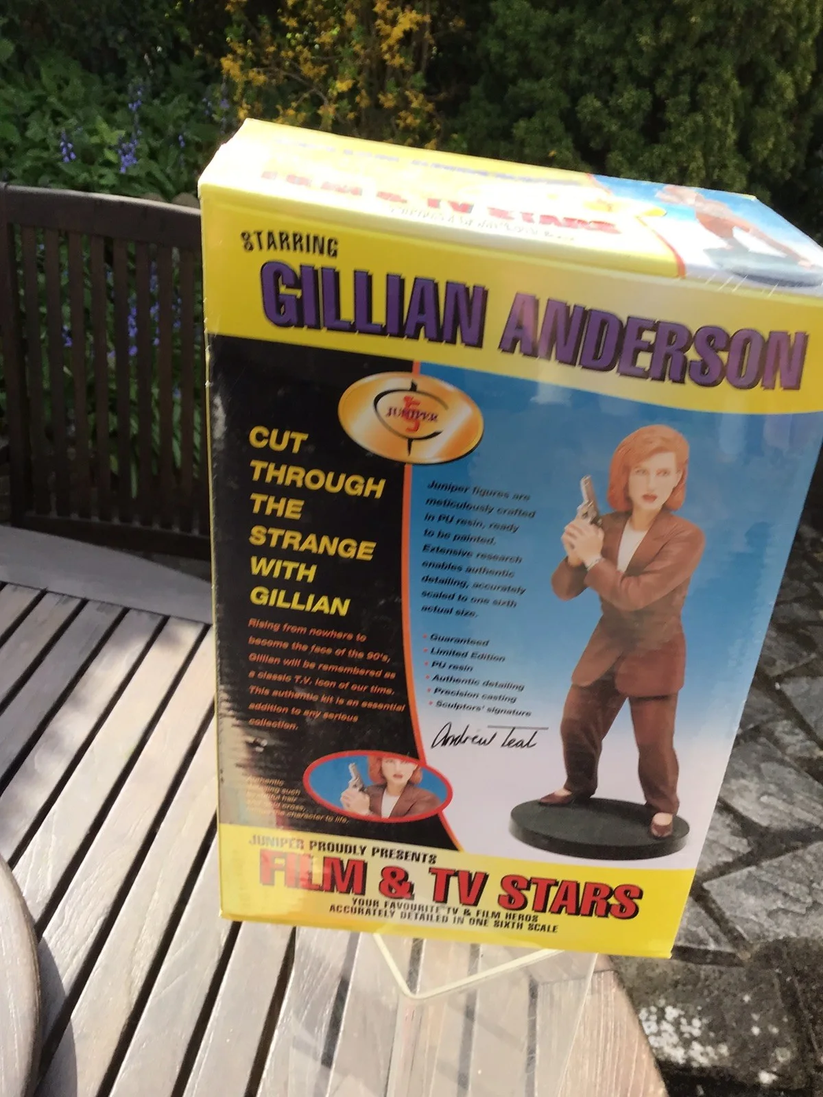 Gillian Anderson Juniper Film & TV Stars ,unopened,1.6th Scale Resin Model Kit, изображение 3
