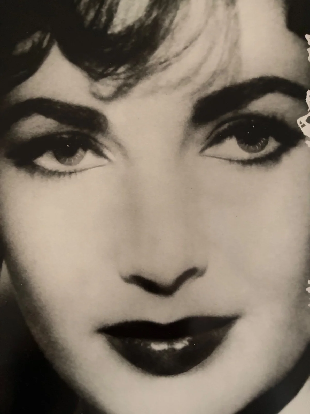 Elizabeth Taylor Close-Up Portrait Bernard of HollywoodEstate Signed Gelatin COA, изображение 2