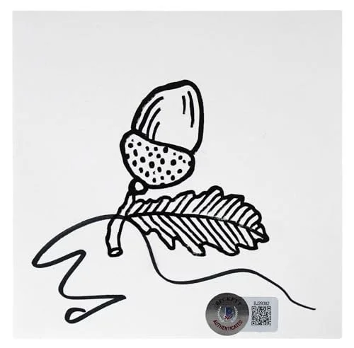 Ed Sheeran — Ed Sheeran Authentic Signed Autumn Variations Cd Insert W/ Disk BAS #BJ29382, image 4