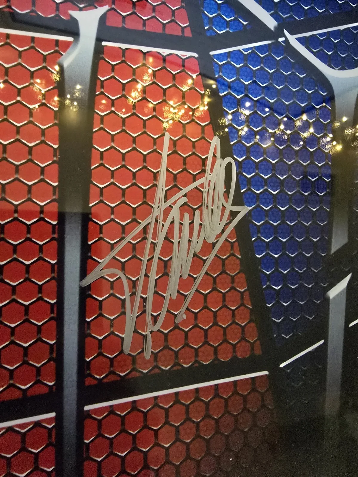 Stan Lee — RARE Stan Lee Signed & Framed Marvel SPIDER-MAN 16x20 W/ Excelsior Hologram, изображение 2