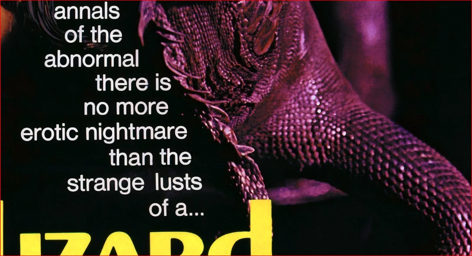A Lizard In A Woman's Skin 1971 Giallo Horror Restored 27.2" x 41" US One Sheet, изображение 5