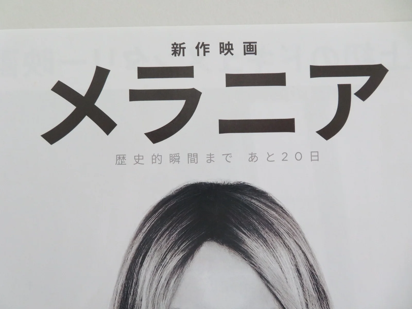 Melania Japanese Chirashi (B5) Poster Melania Trump Donald Trump 2026, изображение 2