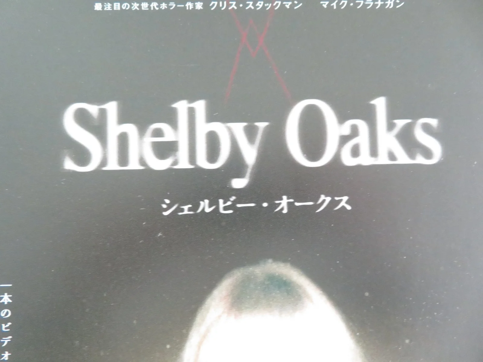 Shelby Oaks Japanese Chirashi (B5) Poster Sarah Durn Mason Heidger 2024, изображение 2