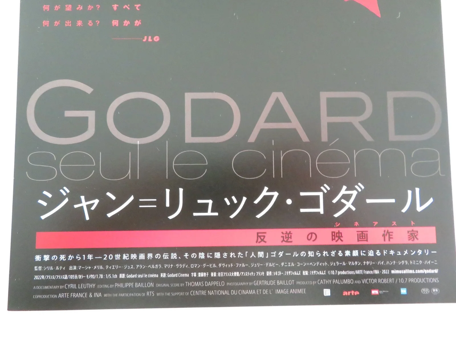 Godard Cinema Japanese Chirashi (B5) Poster Gouix Jean-Luc Godard 2022, изображение 2