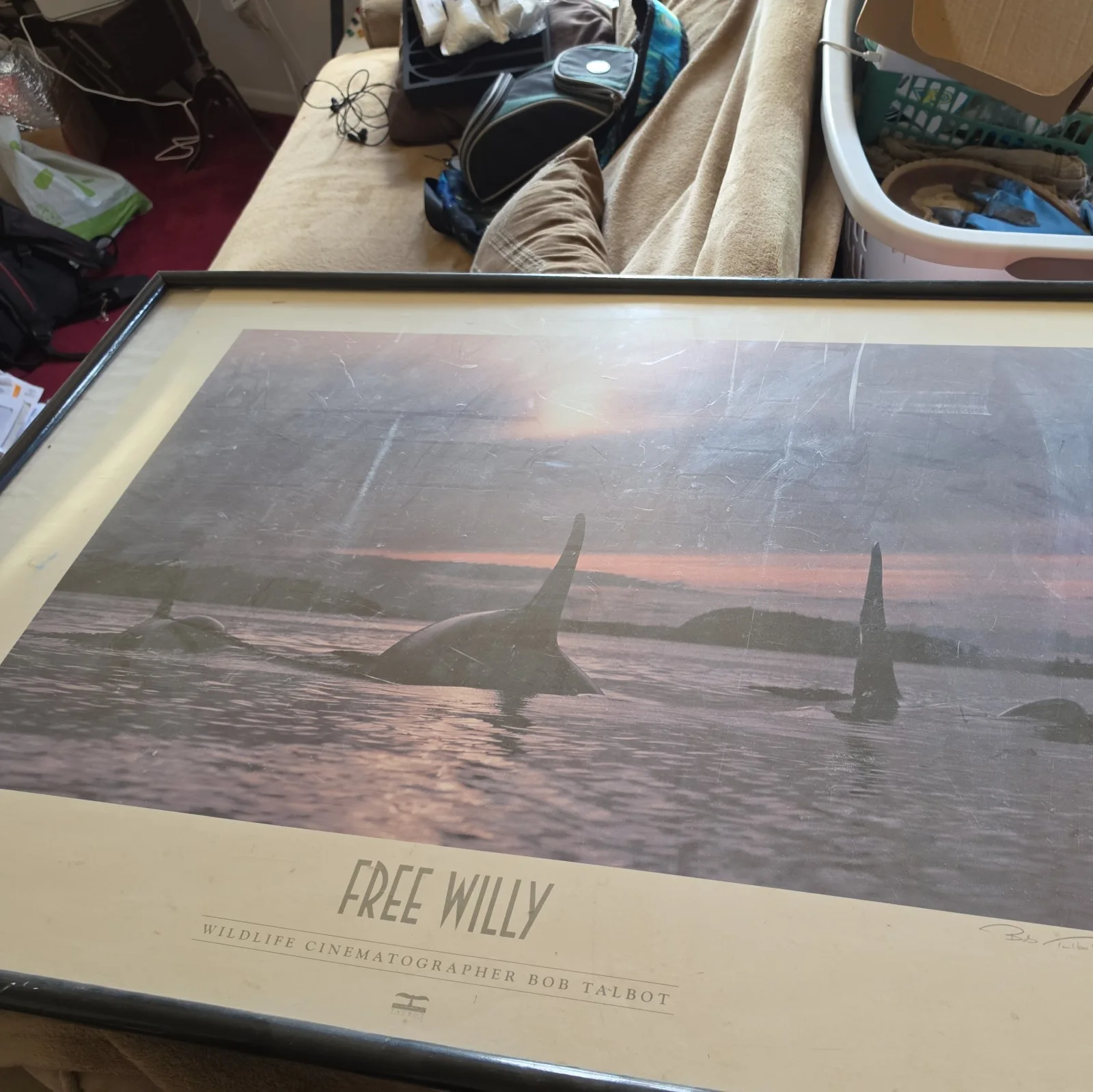 bob talbot — Autographed Signed Poster Free Willy By Bob Talbot, image 4