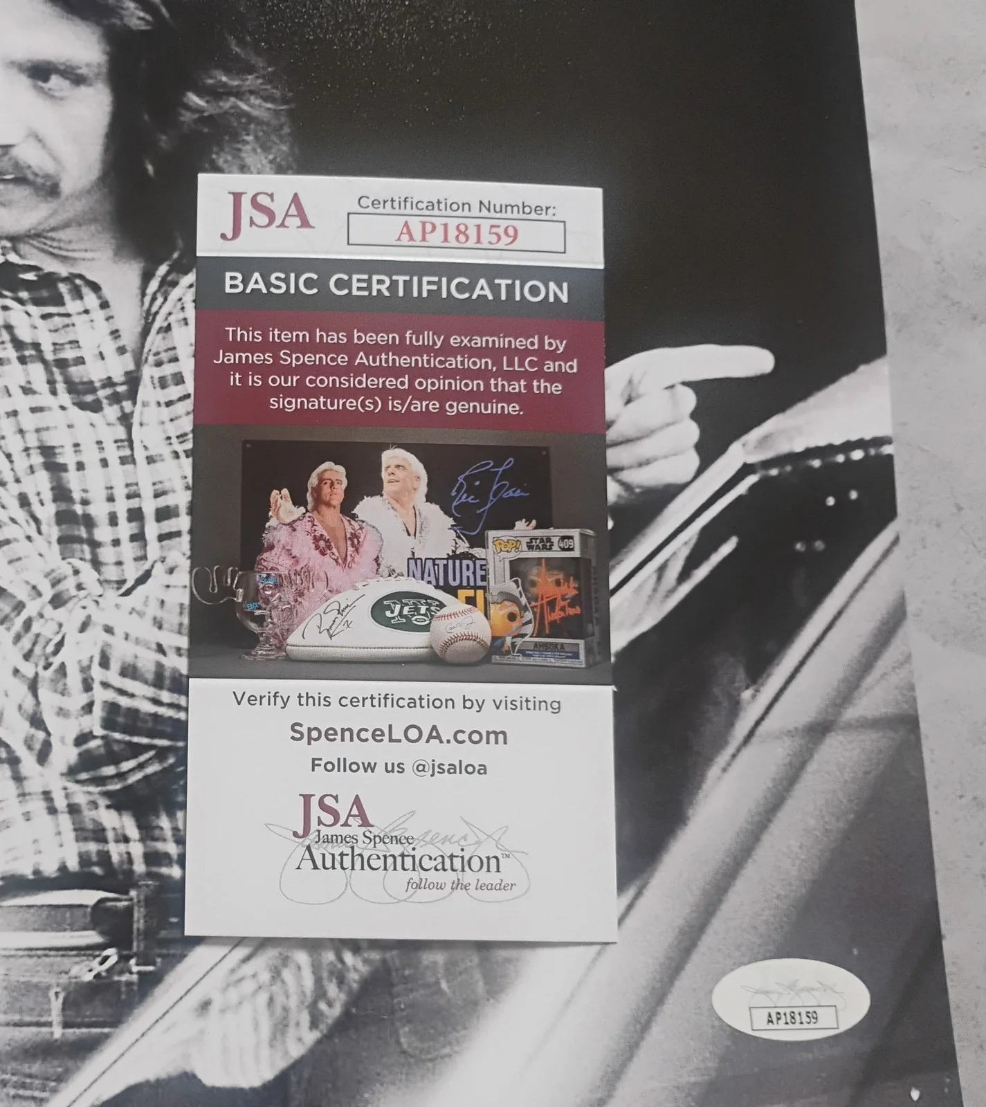 John Carpenter & Nancy Stephens Signed Photo JSA COA Halloween NO US TARIFF, изображение 5