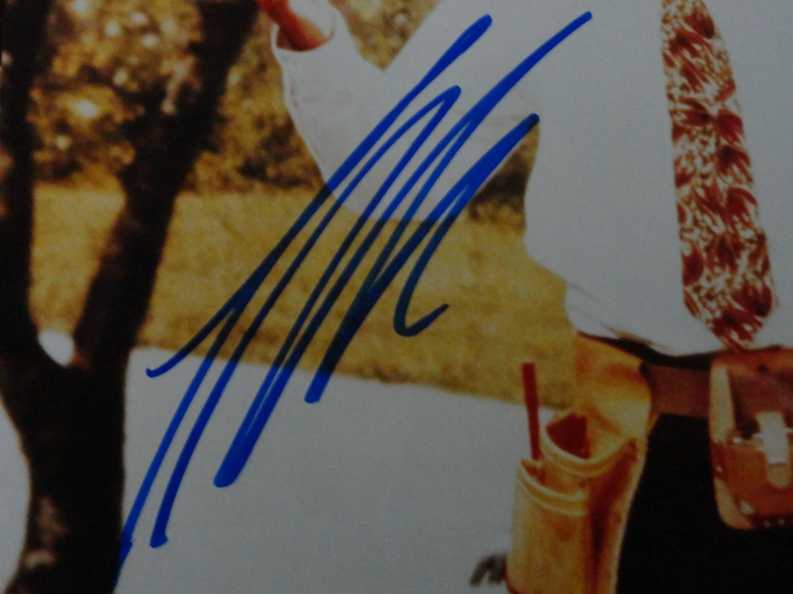 TIM ALLEN SIGNED 8 X 10 PICTURE PHOTOGRAPH AUTOGRAPHED NO COA SEE PICTURES, изображение 4