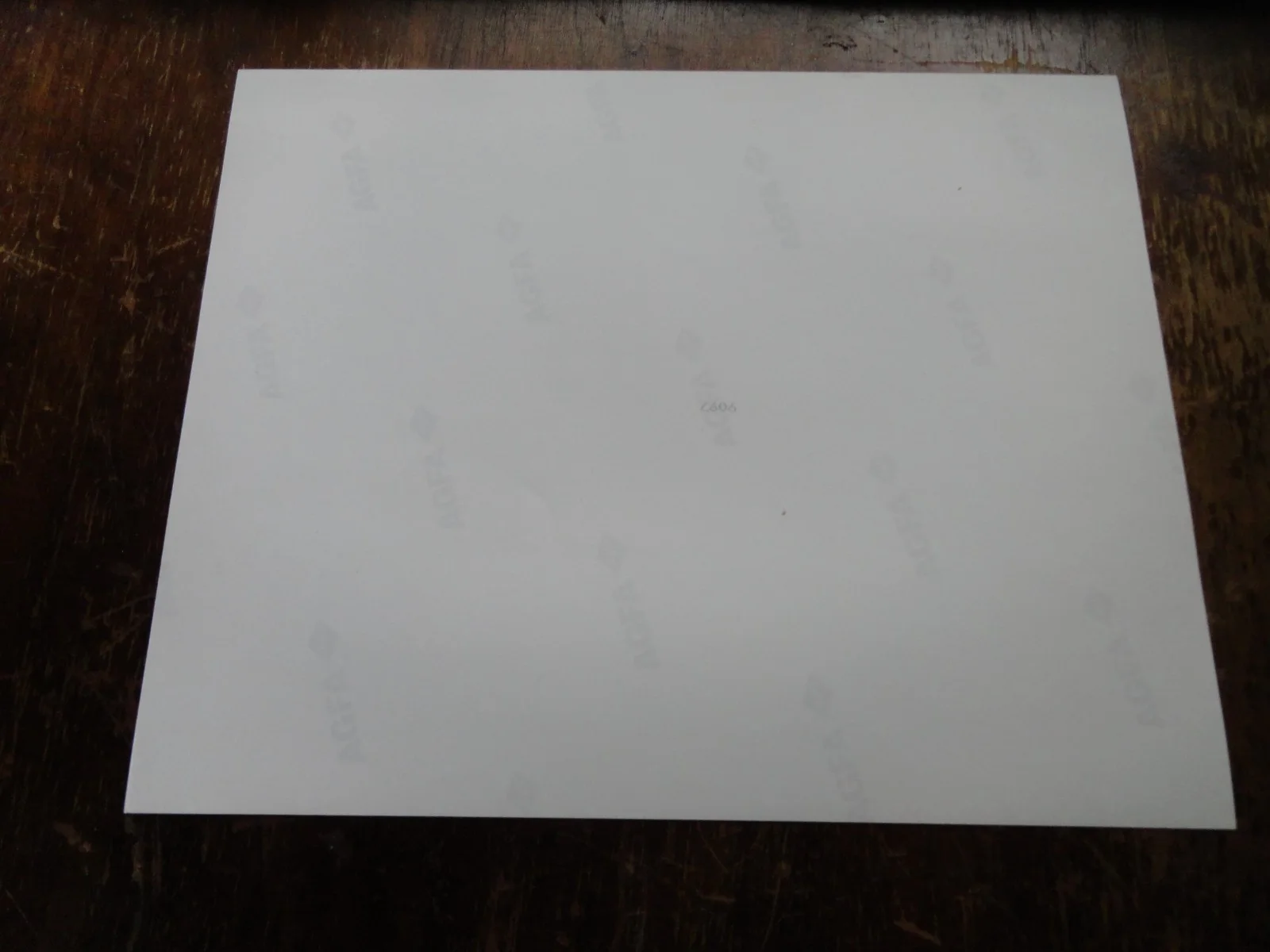 BASIC INSTINCT SIGNED 8 X 10 PICTURE PHOTOGRAPH AUTOGRAPHED NO COA SEE PICTURES, изображение 2