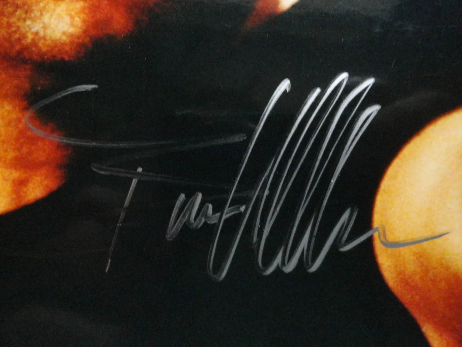 BRUCE WILLIS RARE 8X10 AUTOGRAPHED PICTURE DAY OF THE JACKAL FAST SAFE SHIPPING, изображение 5
