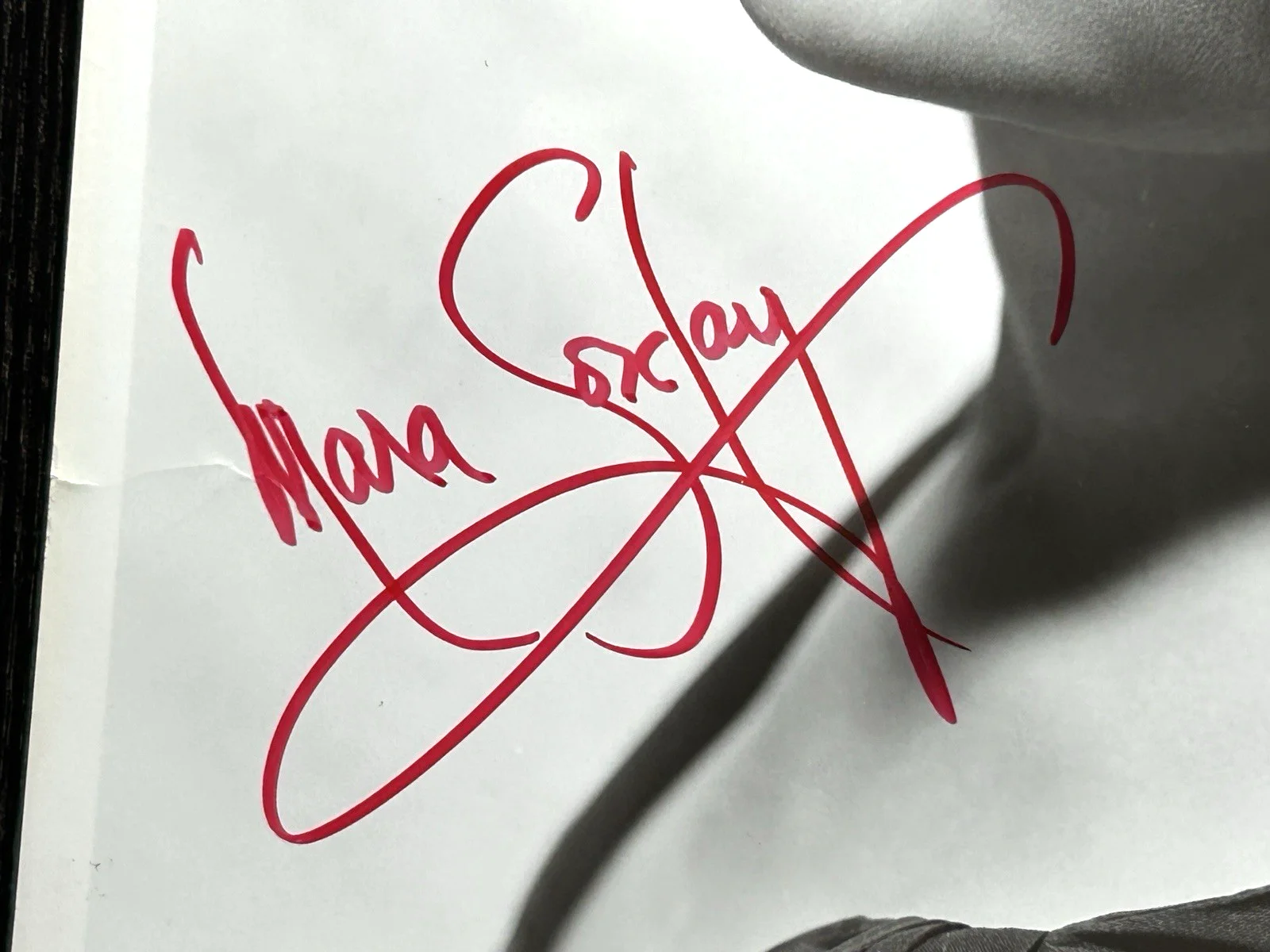 Mara Corday — MARA CORDAY SEXY VINTAGE HAND SIGNED PHOTO Original Autograph JSA COA TARANTULA, изображение 4