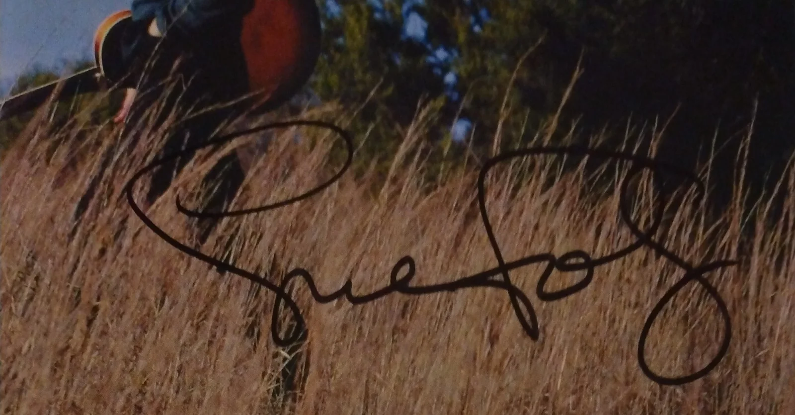 Sue Foley - Walk In The Sun - Autographed - signed - compact disc, image 3
