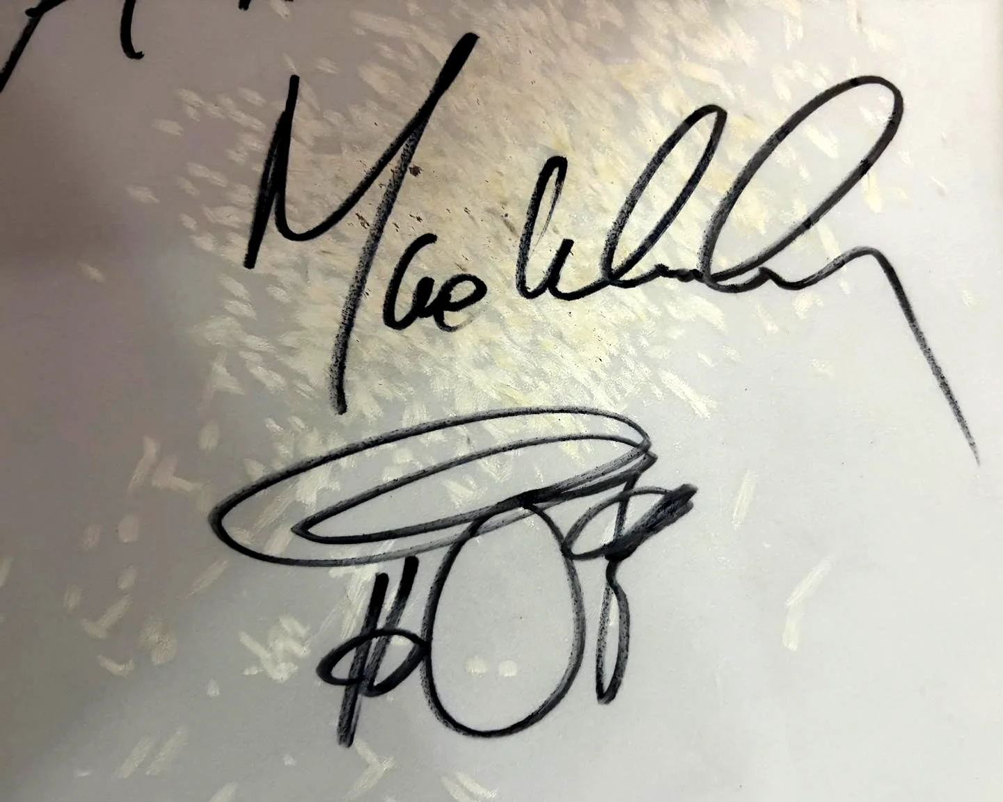 MAX WEINBERG SIGNED E STREET BAND 2024 TOUR STAGE USED DRUMHEAD SPRINGSTEEN COA, изображение 4