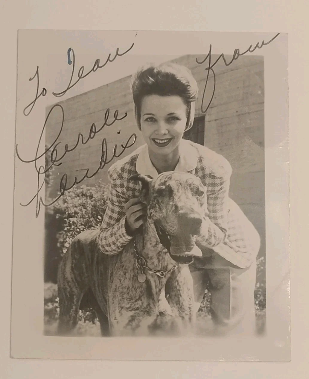 Carole Landis — Carole Landis Signed Photo 1940s Pin-up Original Photo Vintage Autograph
