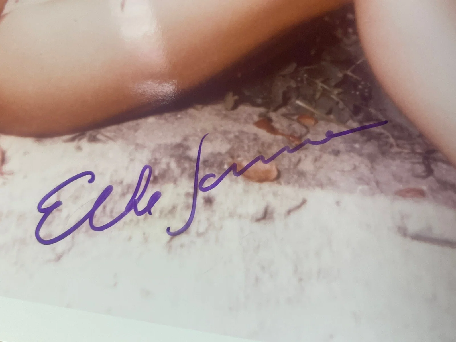 Elke Sommer Autographed PHOTO 8'' X 10'', image 2