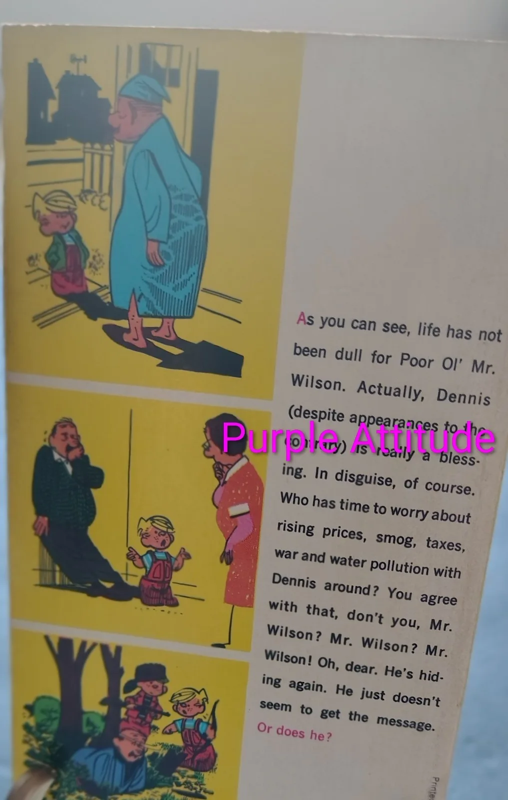 Jay North — ​RARE Jay North "Dennis the Menace" Signed Book & Matching COA – Shop Sealed, изображение 3