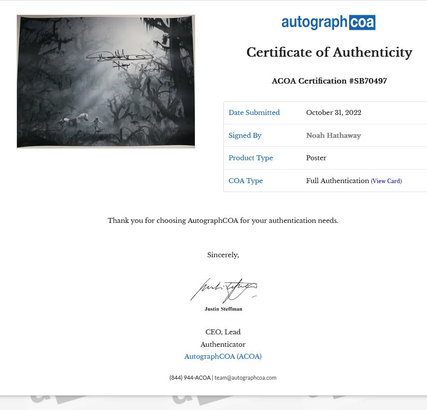 The Neverending Story 18x24" Swamps of Sadness Print #/100 SIGNED! ACOA, изображение 2
