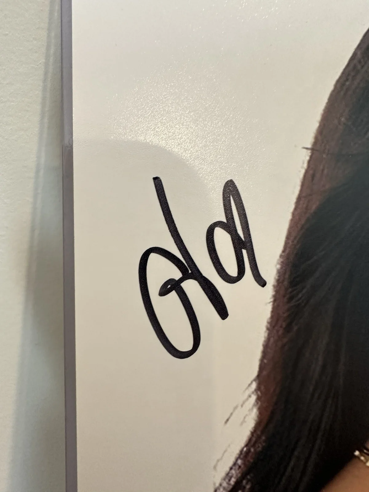 Gina Valentina Autographed 8x10 Photograph JSA Authenticated Porn Star, image 2