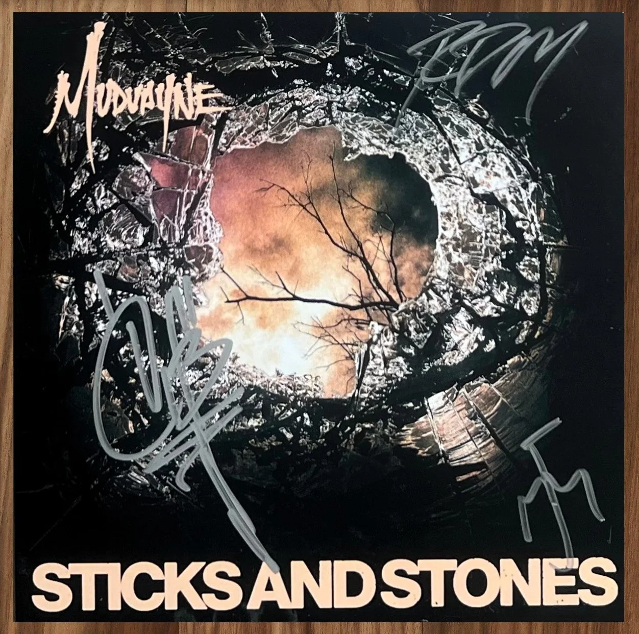 MUDVAYNE Sticks And Stones Hurt People 2026 Ltd Ed RARE Signed Custard Vinyl EP!, image 2