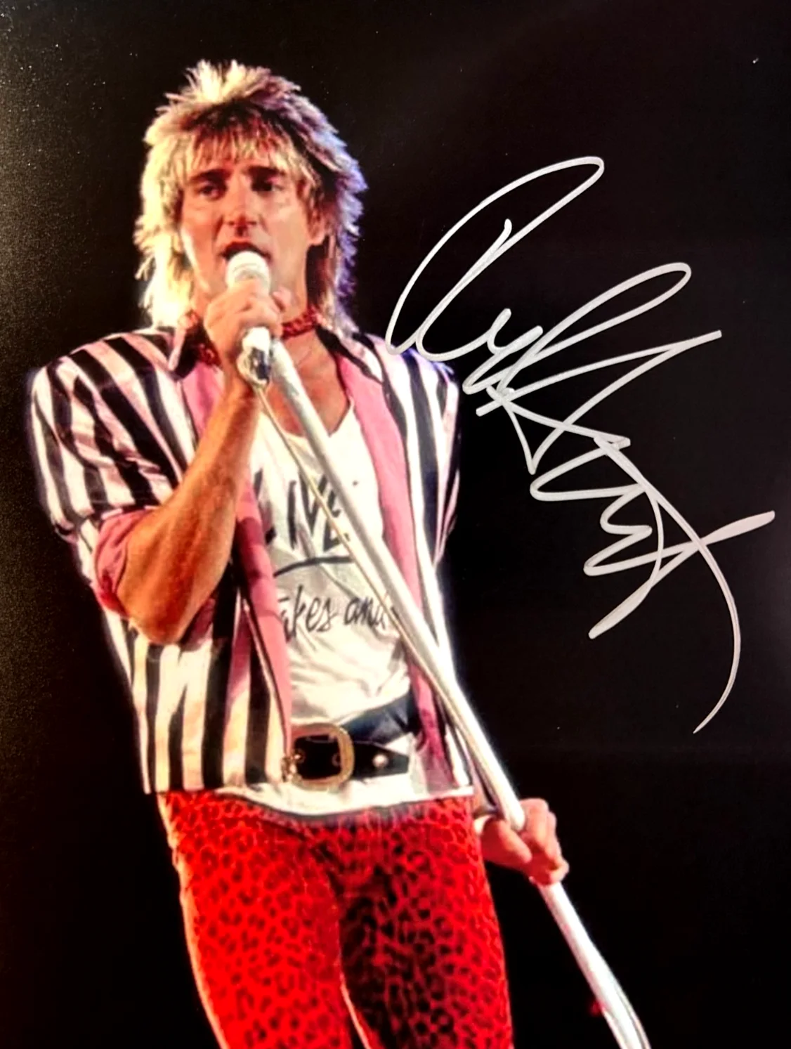 ROD STEWART Hand Signed 8x10" Authentic REAL Original Autograph w/COA, image 3