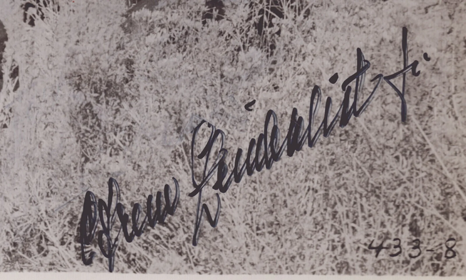 Brian Keith, Efrem Zimbalist Jr — VIOLENT ROAD MOVIE CAST - AUTOGRAPHED SIGNED PHOTOGRAPH WITH CO-SIGNERS, изображение 3