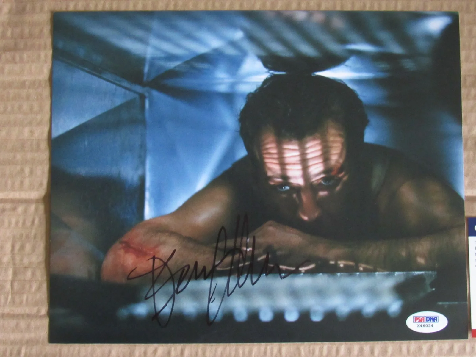 Bruce Willis "Die Hard" signed 8x10 Photo + Authentication, image 3
