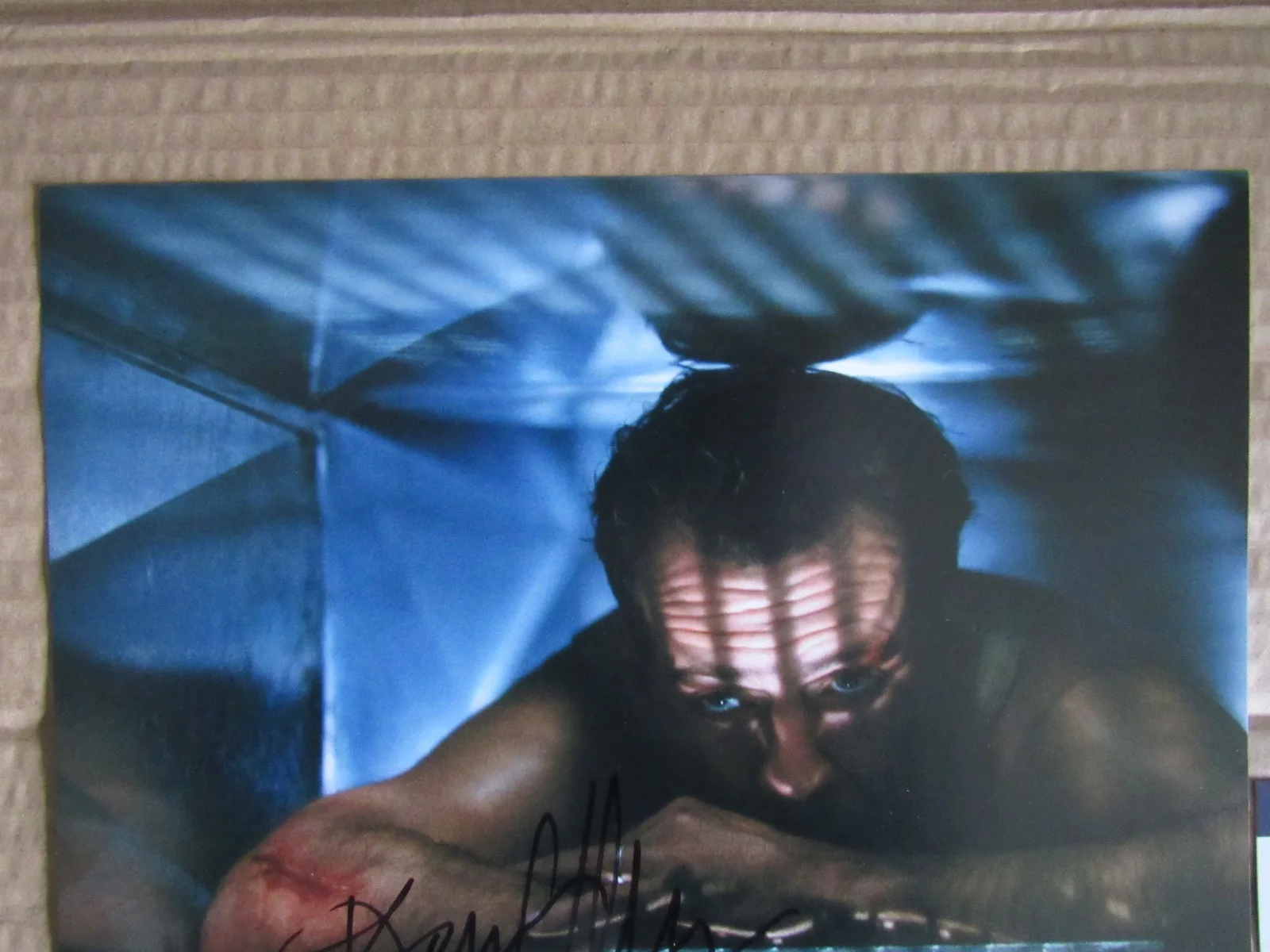 Bruce Willis "Die Hard" signed 8x10 Photo + Authentication, image 5