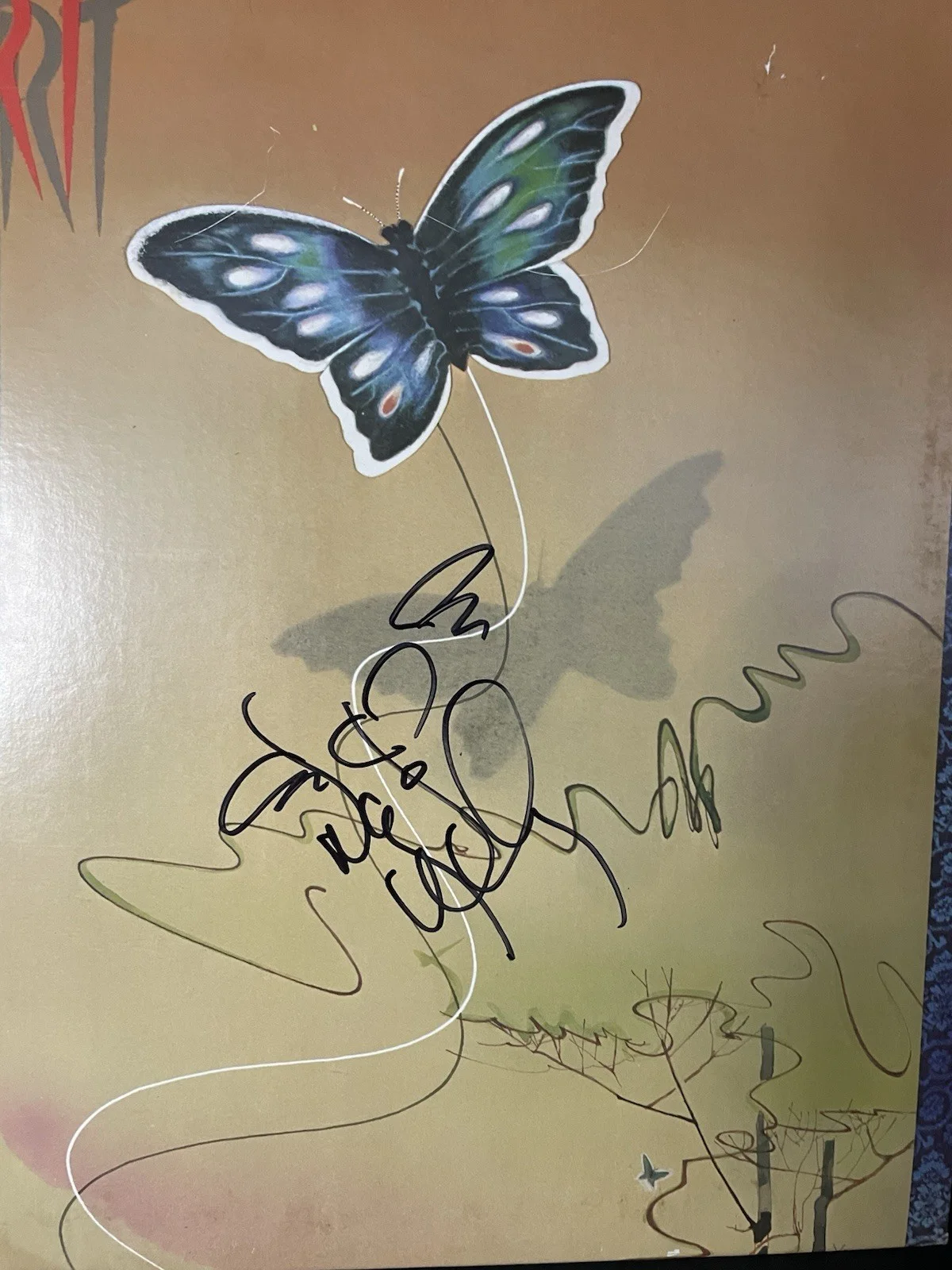 Heart Nancy Wilson Signed Dog & Butterfly Album Vinyl Record, изображение 2