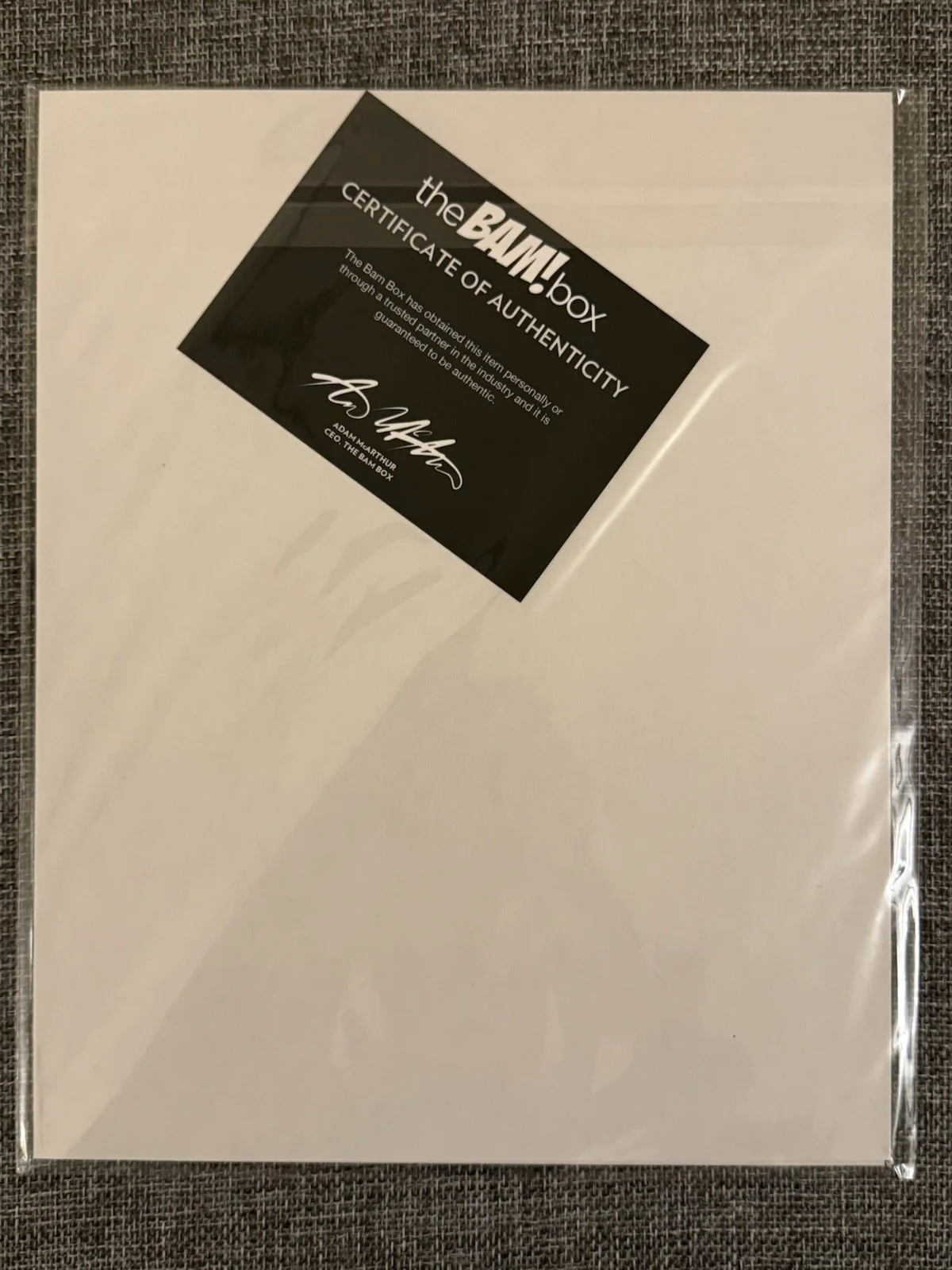 Autographed Horror Movie Art Print BAM Box Leatherface Michael Myers 1773/2500, изображение 3