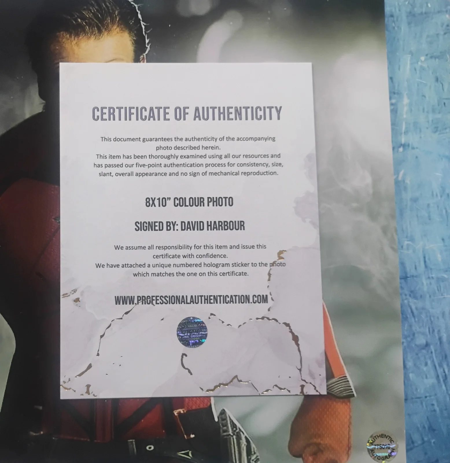 David Harbour Hand Signed 8x10 Photo COA Red Guardian NO US TARIFFS, image 4