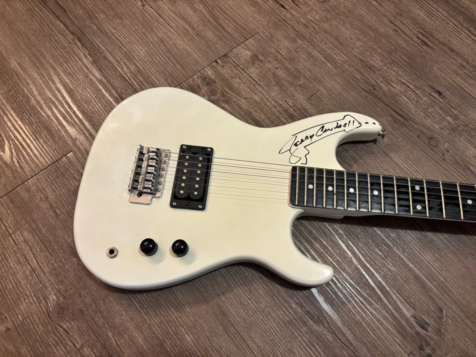 JERRY CANTRELL SIGNED AUTOGRAPHED GUITAR ALICE IN CHAINS W/SKETCH DRAWING RARE, изображение 2
