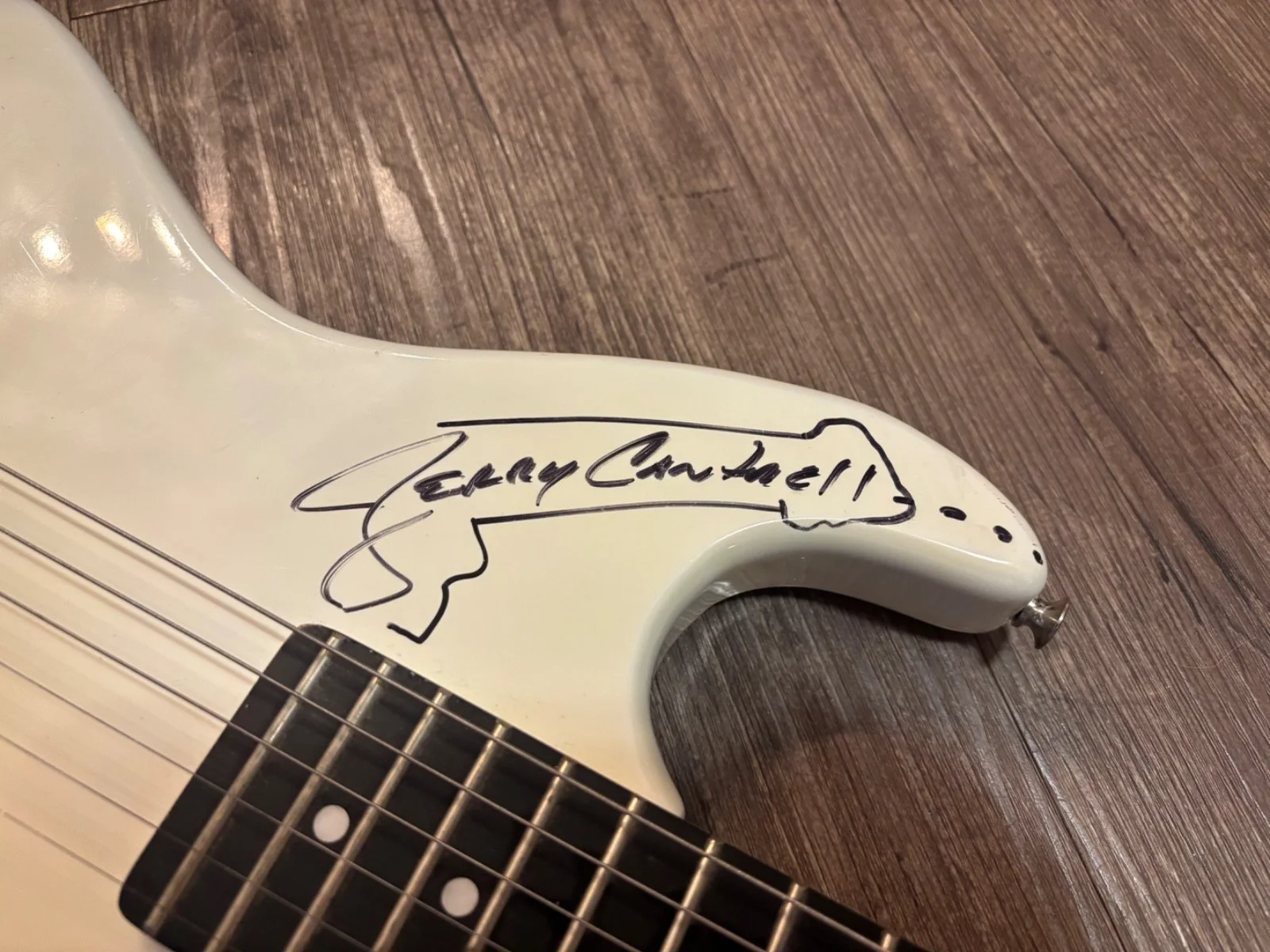 JERRY CANTRELL SIGNED AUTOGRAPHED GUITAR ALICE IN CHAINS W/SKETCH DRAWING RARE, изображение 3
