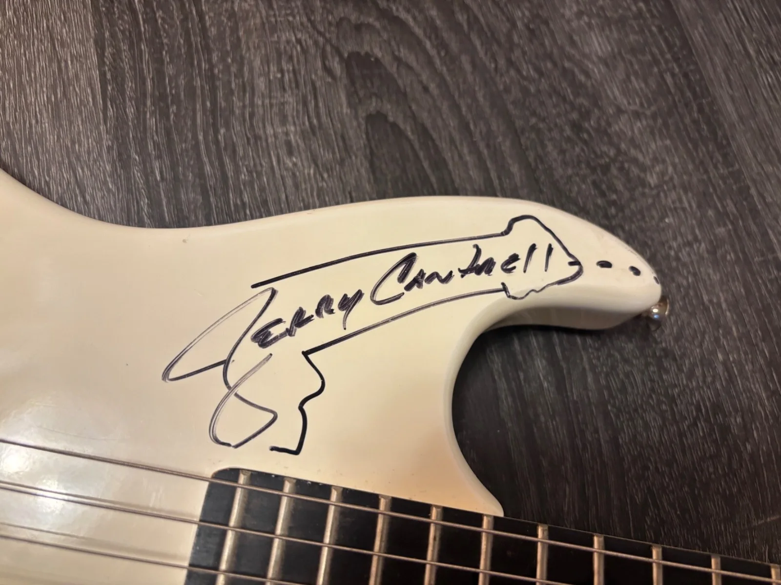 JERRY CANTRELL SIGNED AUTOGRAPHED GUITAR ALICE IN CHAINS W/SKETCH DRAWING RARE, изображение 4