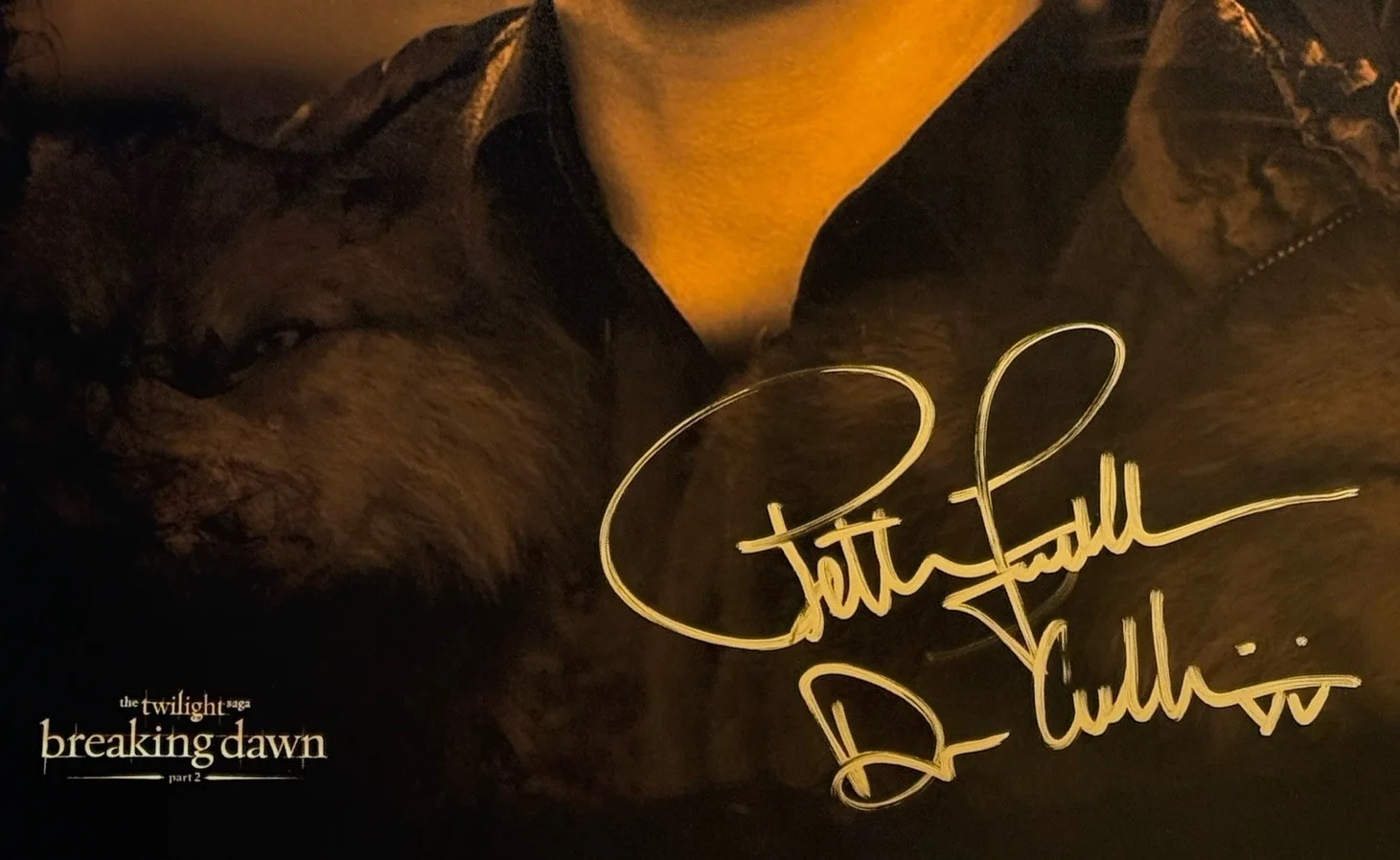 Peter Facinelli — Peter Facinelli Signed 16x20 Photo Twilight Movie Saga JSA EXACT PROOF #1, изображение 2
