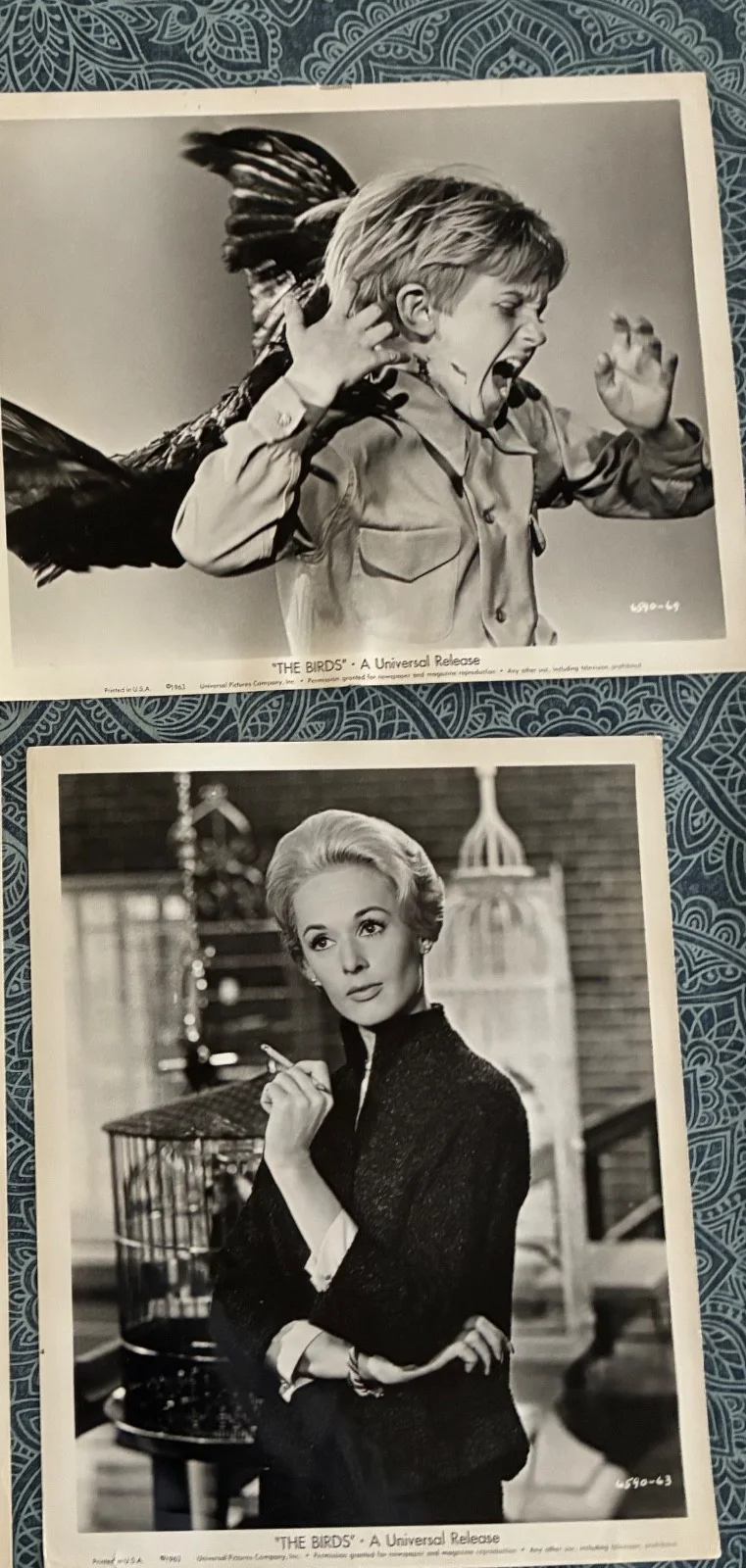 Tippi Hedren — Vtg 1963 THE BIRDS Movie Still Lot (4) Incl. TIPPI HEDREN Signed 8x10 Photo, изображение 3