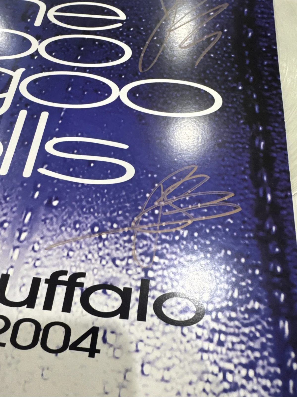 Goo Goo Dolls Signed Vinyl Live in Buffalo July 4th, 2004 AUTOGRAPH NEW, изображение 2