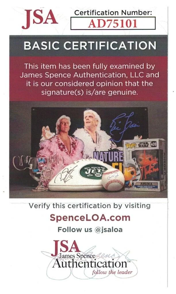 Jeremy Irons — JEREMY IRONS JSA Autographed Dead Ringers 8X10 The Lion King FREE SHIP! Not PSA, image 4
