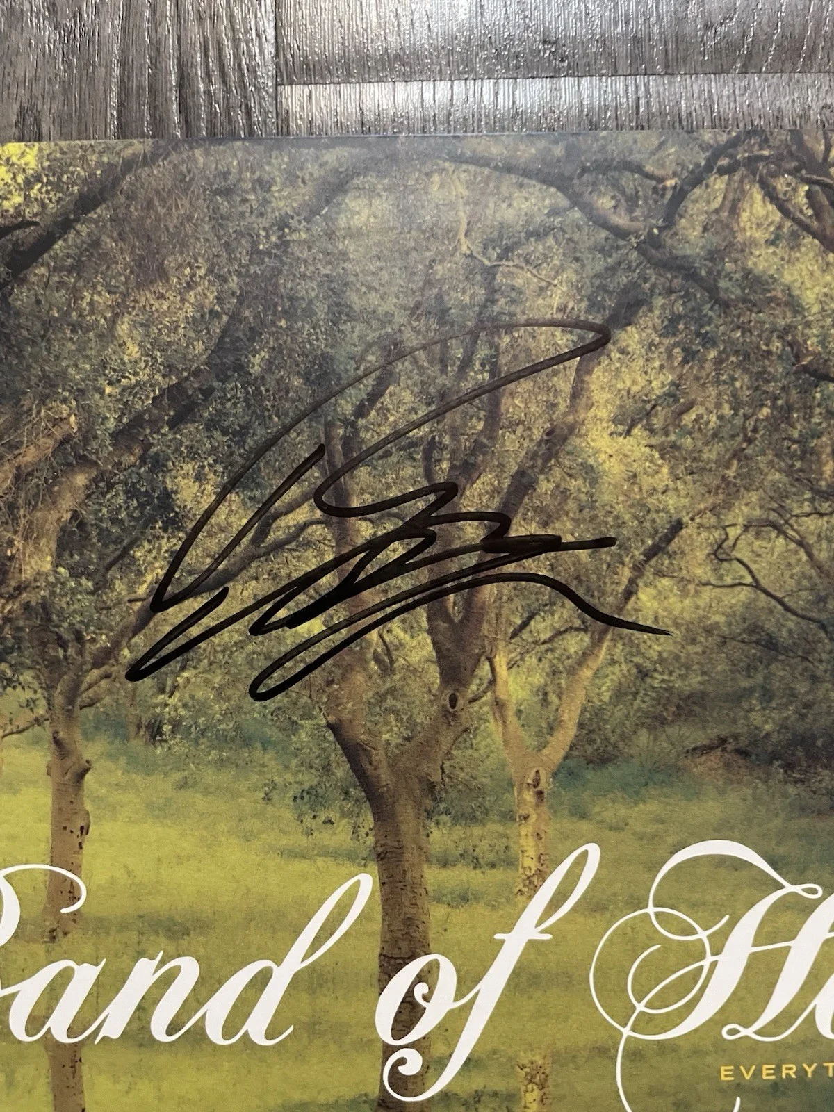 Band Of Horses Everything All The Time SIGNED Vinyl LP Autographed Record, image 2