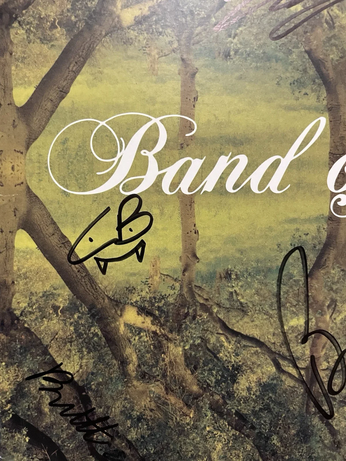 Band Of Horses Everything All The Time SIGNED Vinyl LP Autographed Record, image 3
