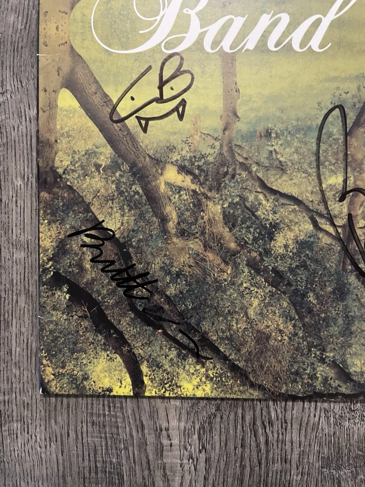 Band Of Horses Everything All The Time SIGNED Vinyl LP Autographed Record, image 4