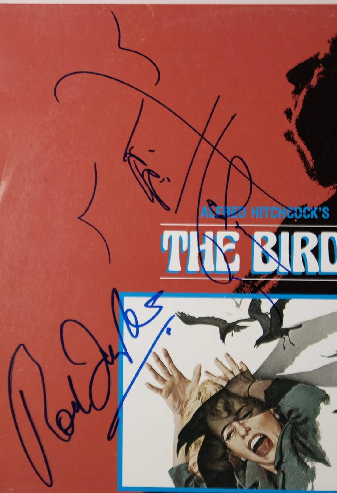 Rod Taylor, Tippi Hedren — BIRDS MOVIE CAST - LASER MEDIA COVER SIGNED WITH CO-SIGNERS, изображение 2