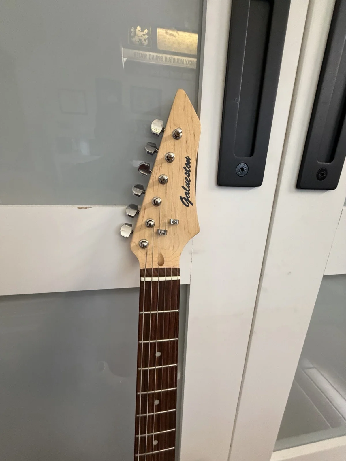 Galveston Electric Guitar Signed by Def Leppard All Band Members COA Gig Bag, image 3